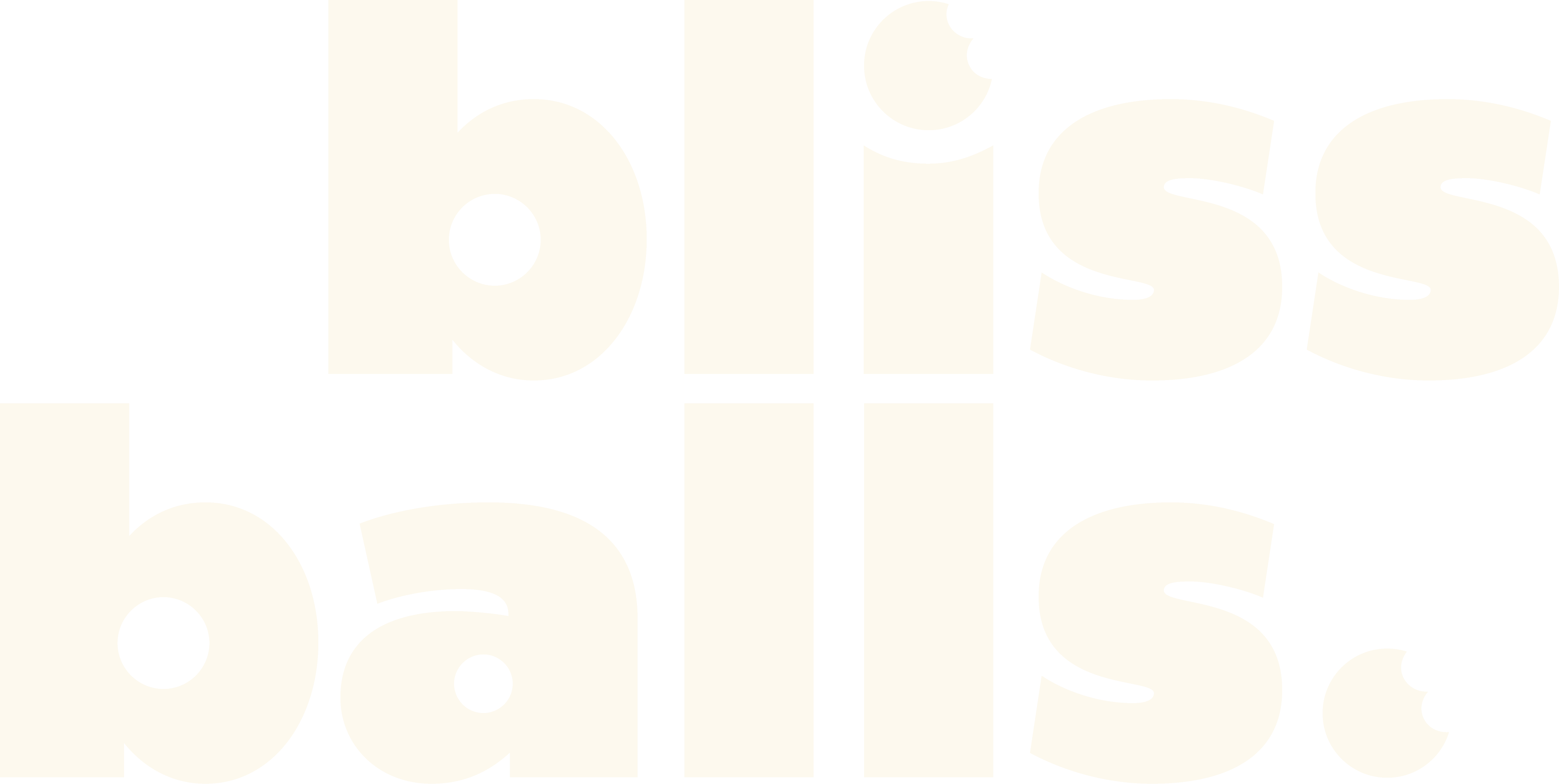 Bliss Balls